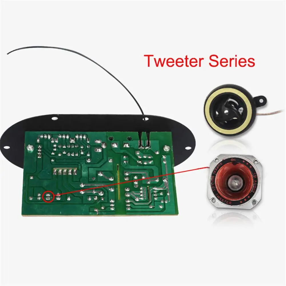 Woopker Digital Bluetooth Stereo Amplifier Board Subwoofer Dual Microphone Karaoke for 8-10 Inch Speaker 110V 220V 12V 24V