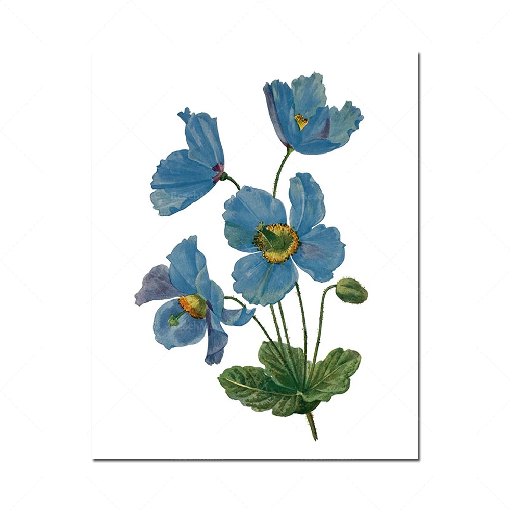 Fleurs bleues imprimables، 4 مجموعة الاسمية، الرسوم التوضيحية دي فلورز ريترو، النبات الفني
