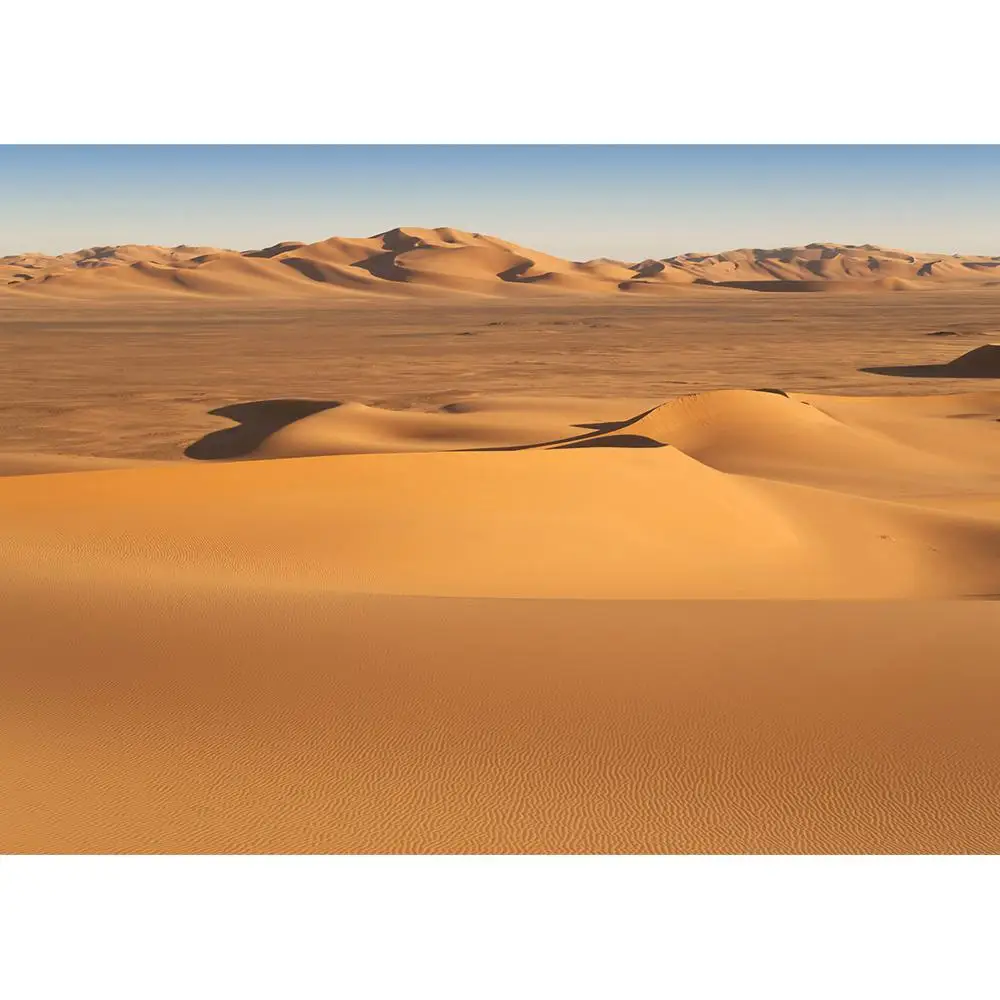 Sand Desert Scenery Photo Background Computer Printed Backdrops Photography Props for Children Baby Portrait Photobooth