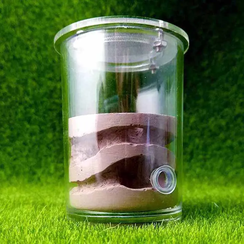 Large Cup Ant Farm Acrylic Cover Plaster Cup Ant Nest Pet Ant Castle