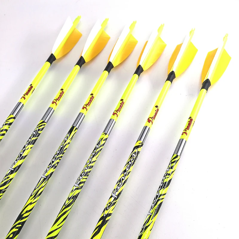 

Pinals Spine 300 340 400 500 600 32 Inch Archery Carbon Arrows for Compound Recurve Bow Traditional Longbow Hunting 3D Targets