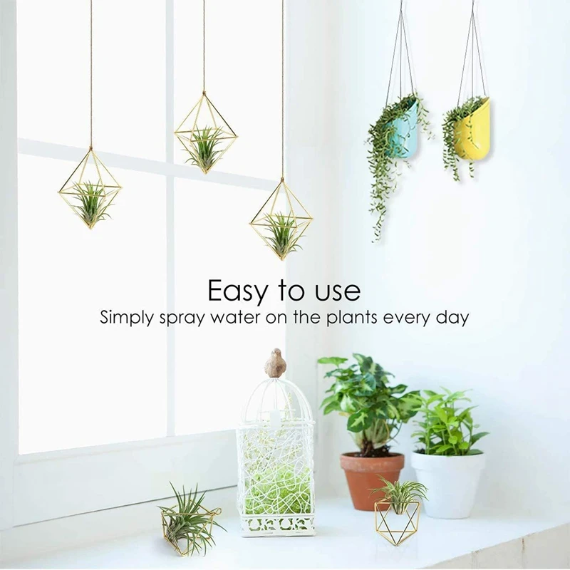 5 Packs Air Plant Holder Mini Metal Tabletop Himmeli Decor Modern Geometric Planter Tillandsia Air Fern Display Stand