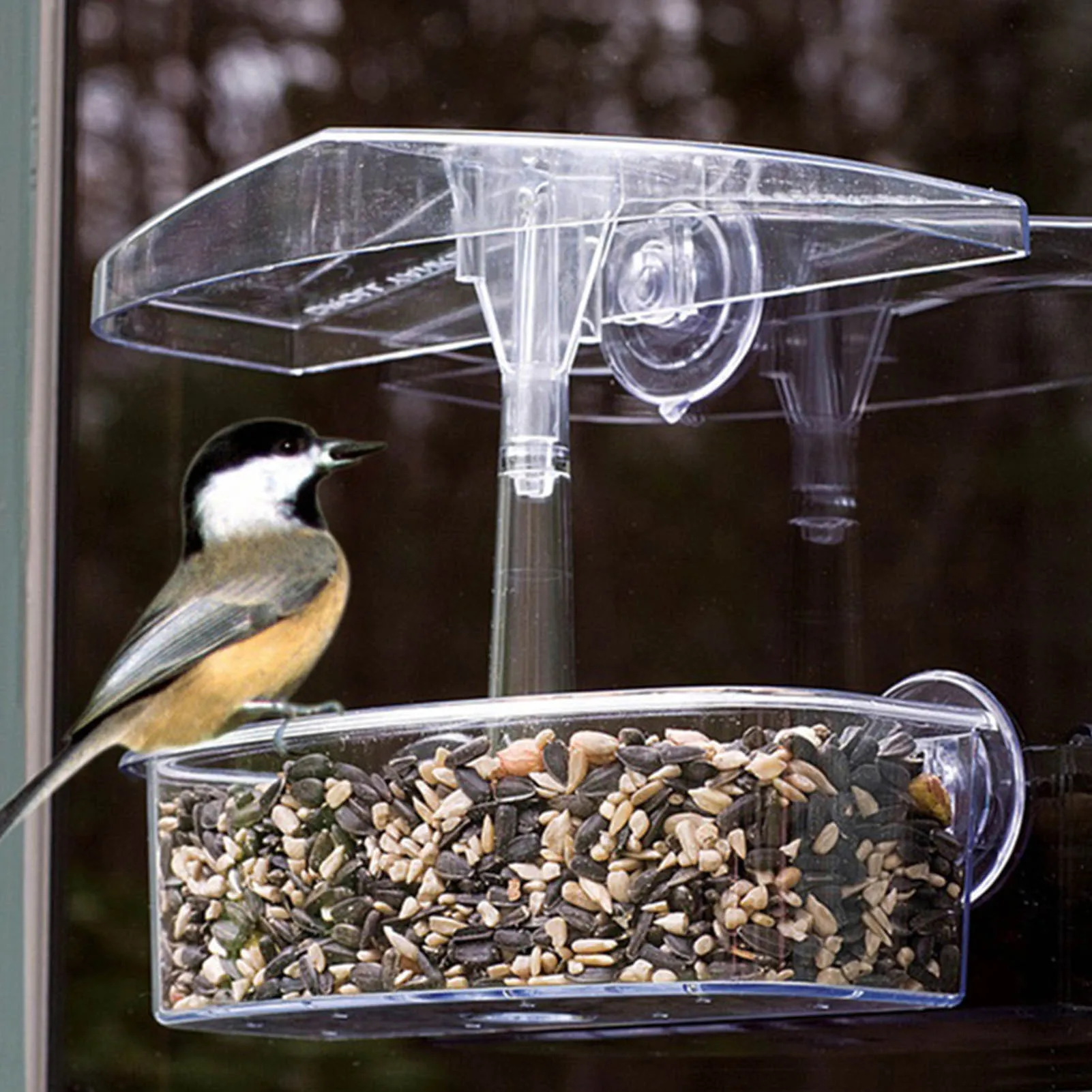 Bird Feeder Transparent Window Viewing Bird Feeders Tray Birdhouse Pet Water Feeder Suction Cup Mount House Type Bird Feeder