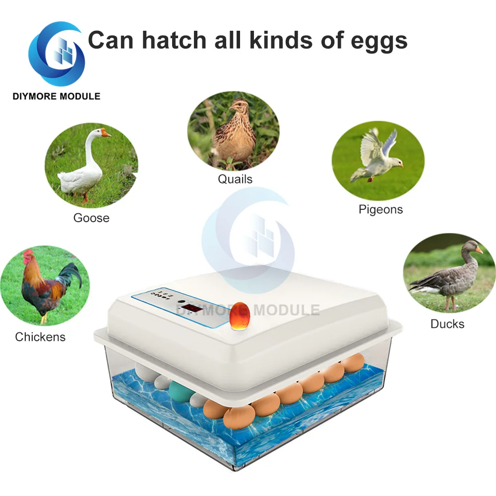 20-50 eggs household incubator small plastic bionic water bed incubator automatic temperature control egg incubator 220v US-plug