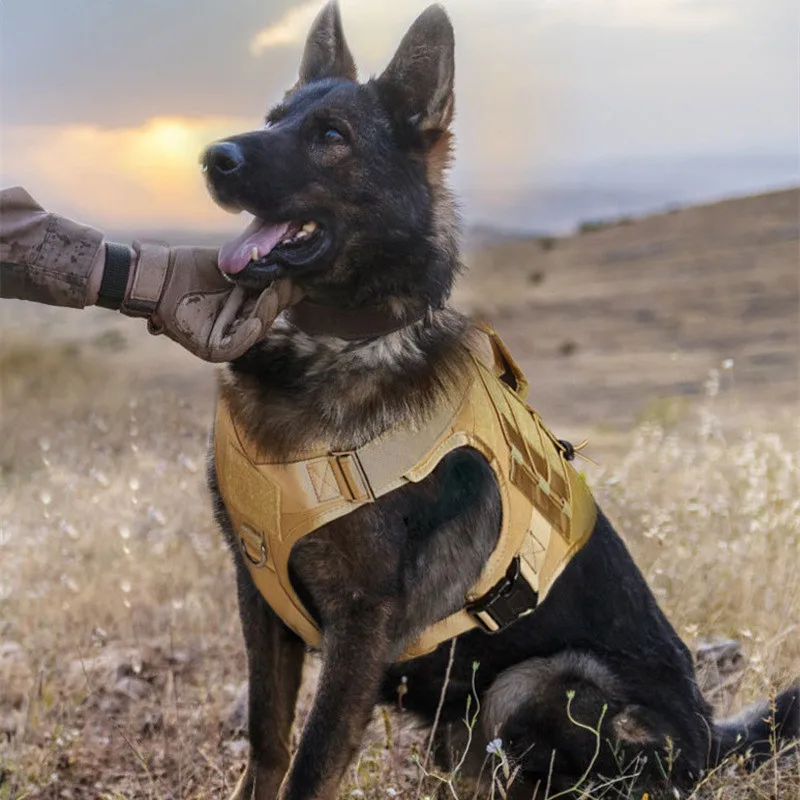 Breathable Dog , Outdoor Training, Adjustable Pet Harness, Field Tactical Chest Harness, Dog Chest Strap, Tactics Vest