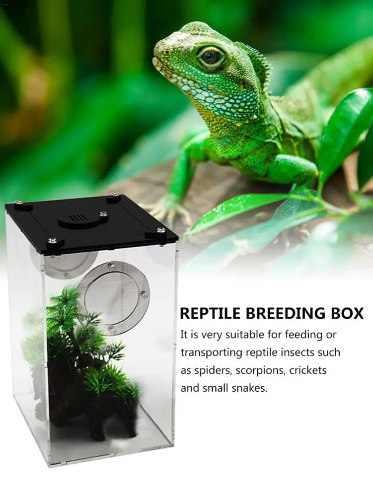 New Acrylic Terrarium Spider Breeding Box Reptile Feeding Box For Climbing Pet Terrarium Snake Spider Lizard Scorpion Centipede