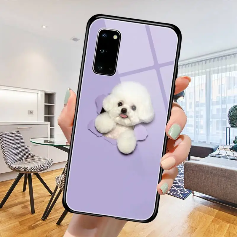 cute teddy dog Phone Case Tempered Glass For Samsung S20 Plus S7 S8 S9 S10E Plus Note 8 9 10 Plus A7 2018