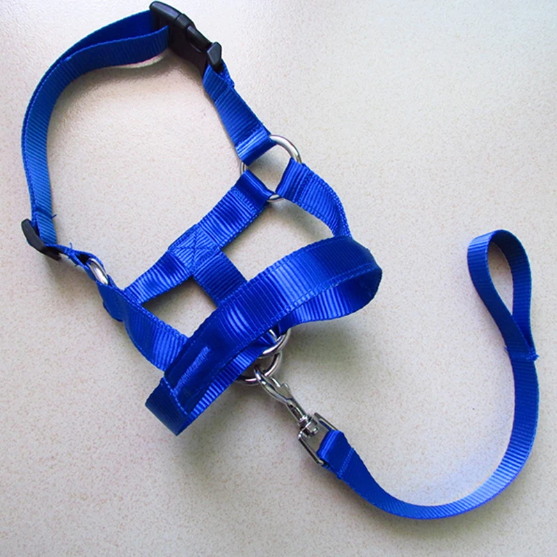 Collar de cabeza de entrenamiento Halti para perros, arnés de líder suave, arnés de poliéster para todas las estaciones, arnés de plomo útil, creativo