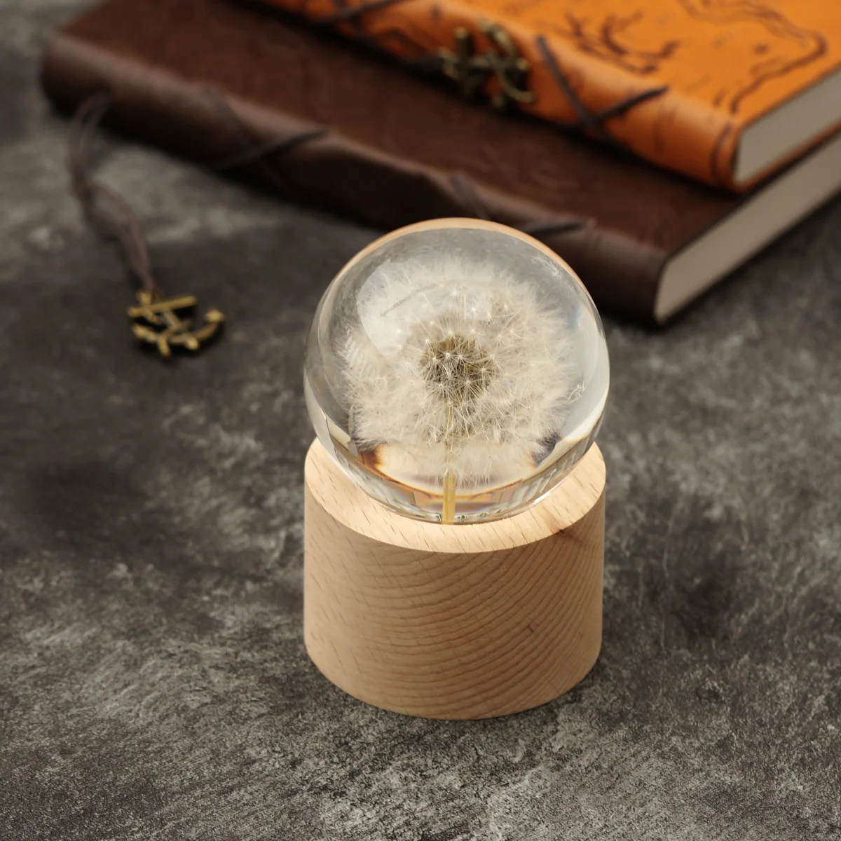 Real Dandelion Crystal Ball Glass Resin Ball Home Decorating Dried Flowers Small Ornament Natural Plants Specimen Gift