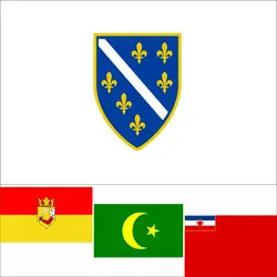 Bosnia And Herzegovina History Flag Choice of Sizes:21X14CM/2X3ft/3X5ft/45X30CM/30X20CM Republic Western Bosnia 1995 Banner