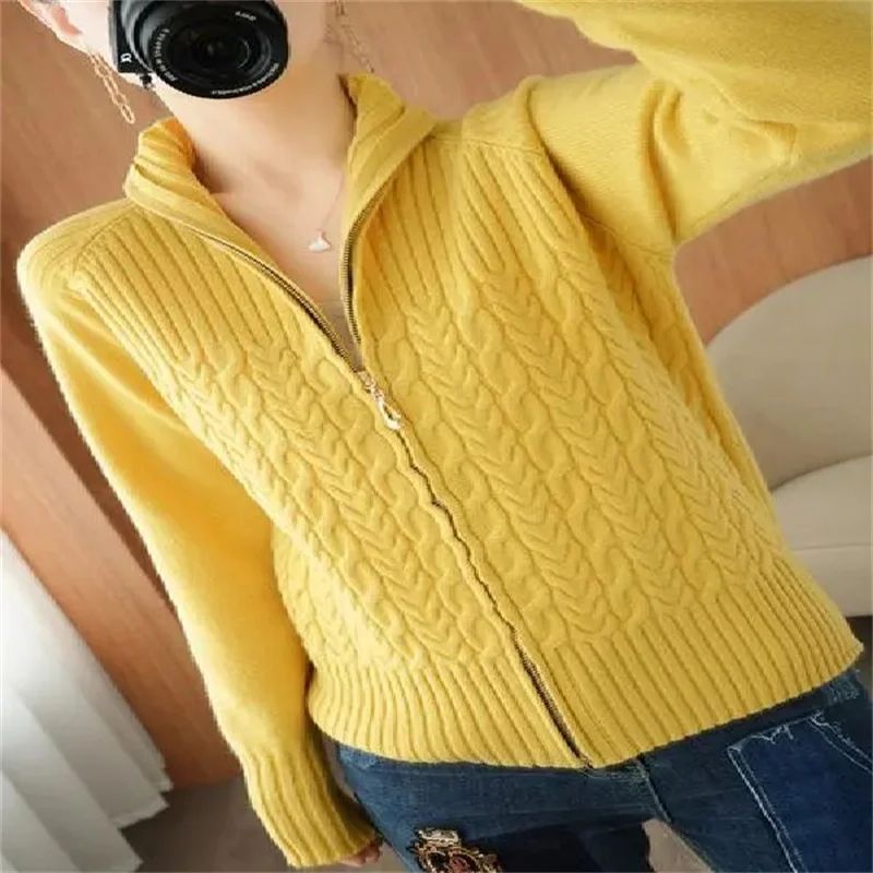 Zipper Knitted Sweater Cardigan Women Stand-Up Collar Loose Cable  Solid Knit Sweater Jacket Female Student Tops Autumn Red Pink