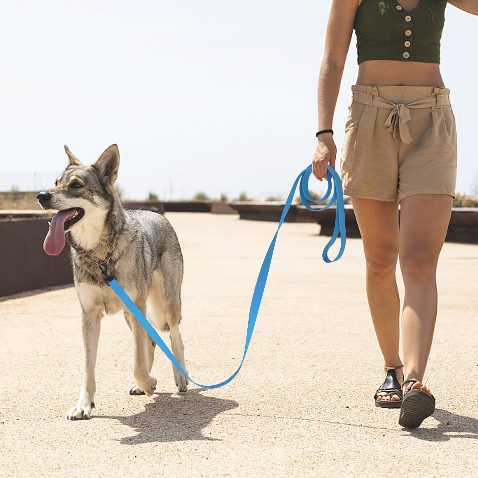 1.5m/3m/5m/10m Strong 2.5cm Width PVC Dog Leash Multicolor Durable Waterproof Dog Training Leash and Collar for Pet Dogs & Cats