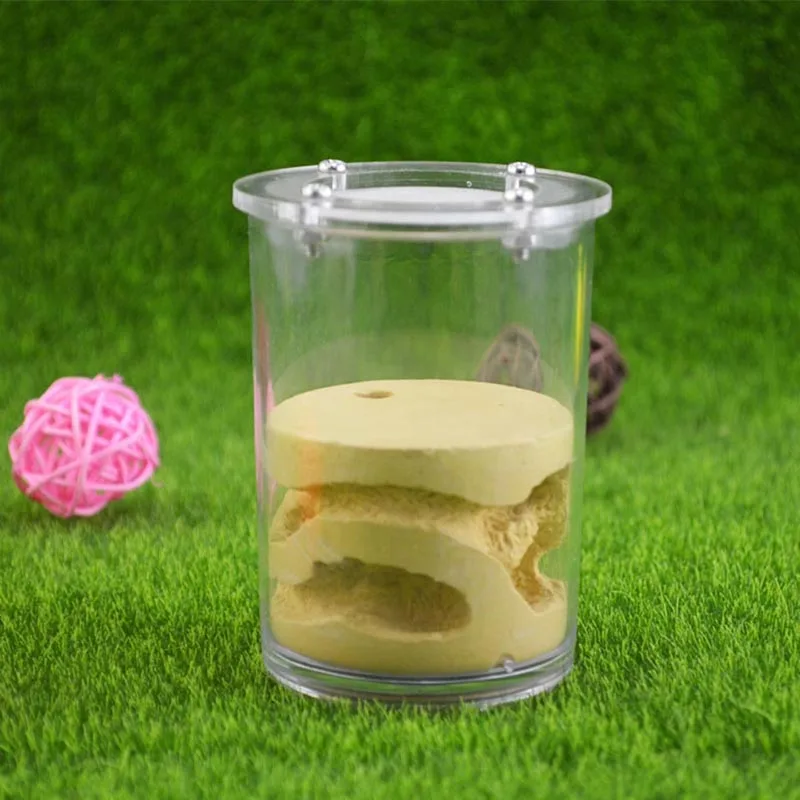 Large Cup Ant Farm Acrylic Cover Plaster Cup Ant Nest Pet Ant Castle