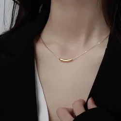 LByzHan 2021 New Trendy Small Eggplant Shape Pendant Golden Silver Color Tube Necklace Metal Clavicle Chain Jewelry For Women