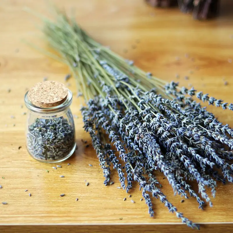 50g Dried Lavender Bundles 100% Natural Dried Lavender Flowers for Home Decoration Photo Props Home Fragrance About 48 cm