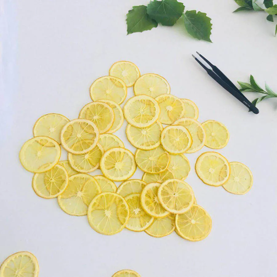 5pcs Dried Pressed 3-5cm Yellow Lemon Slices Plant Herbarium For Jewelry Photo Frame Phone Case Bookmark Postcard Making DIY