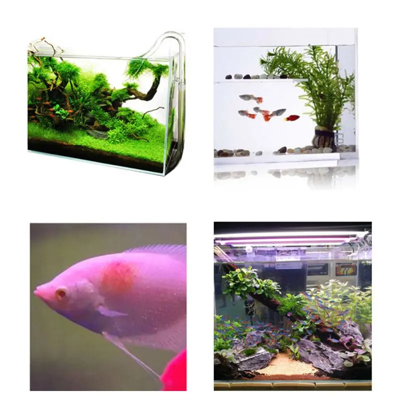 Aquarium Fish Instant Yellow Powder For Ornamental Fish Prevent For Injured