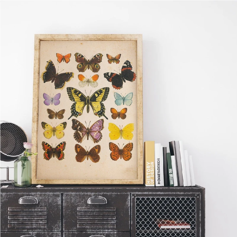 Insect Antique Illustration Cavans Painting Butterflies Vintage Posters and Prints Wall Art for Living Room Home Decor Cuadros