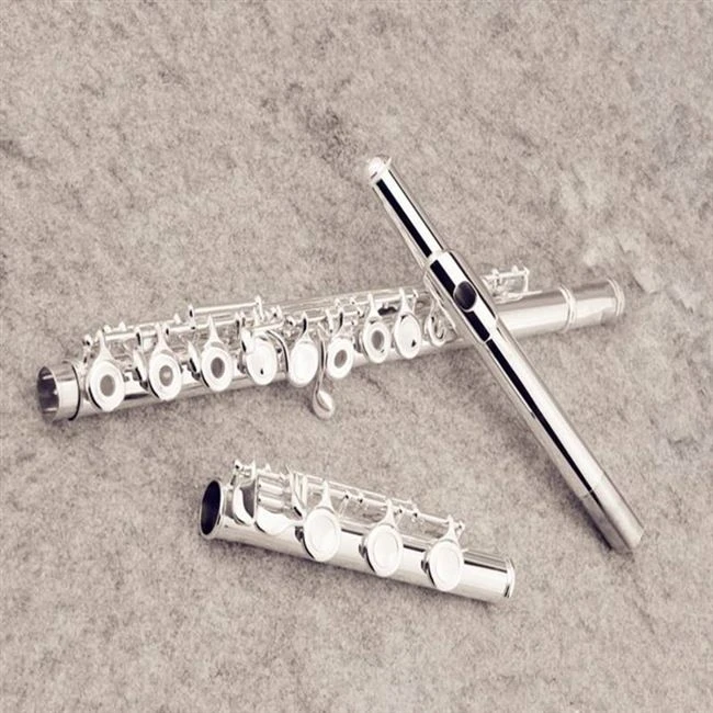 

Custom flute 17 key open music instrument 371H E-Key C Tune flute Silver plated playing music With Case Free shipping