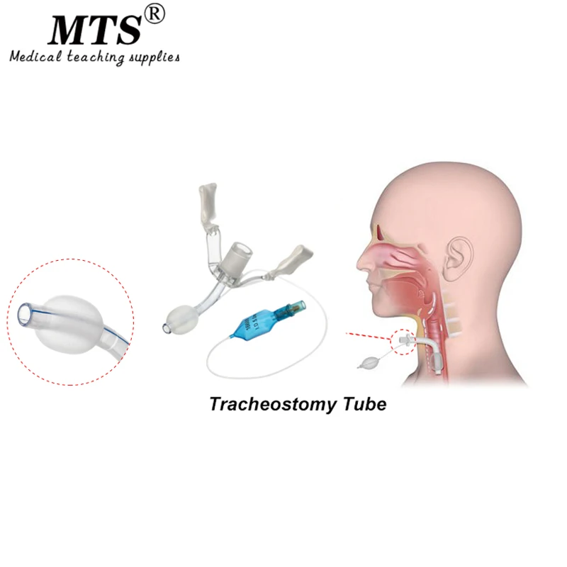 Tubo médico estéril descartável do Tracheostomy do PVC com punho, adulto