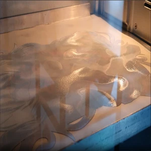 1 kg Pulver zum direkten Druck des Transferfilms zum Drucken und Übertragung des Haustierdrucks Pet Print 10 Hauptumsatz von EPSOM - №10