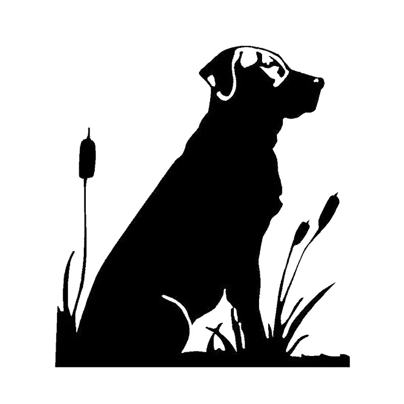 15 * 13.5CM Labrado… - image