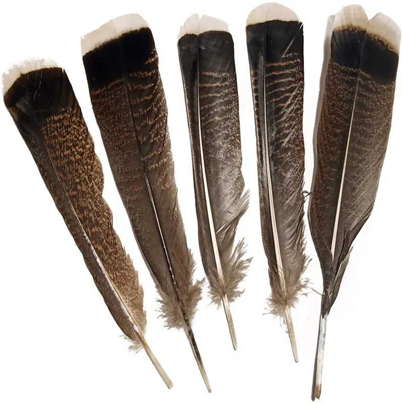 10pcs/lot Natural Eagle Bird Pheasant Feathers for Crafts Diy Dream Catcher Jewelry Making Decoration Accessories Plumes 25-30cm