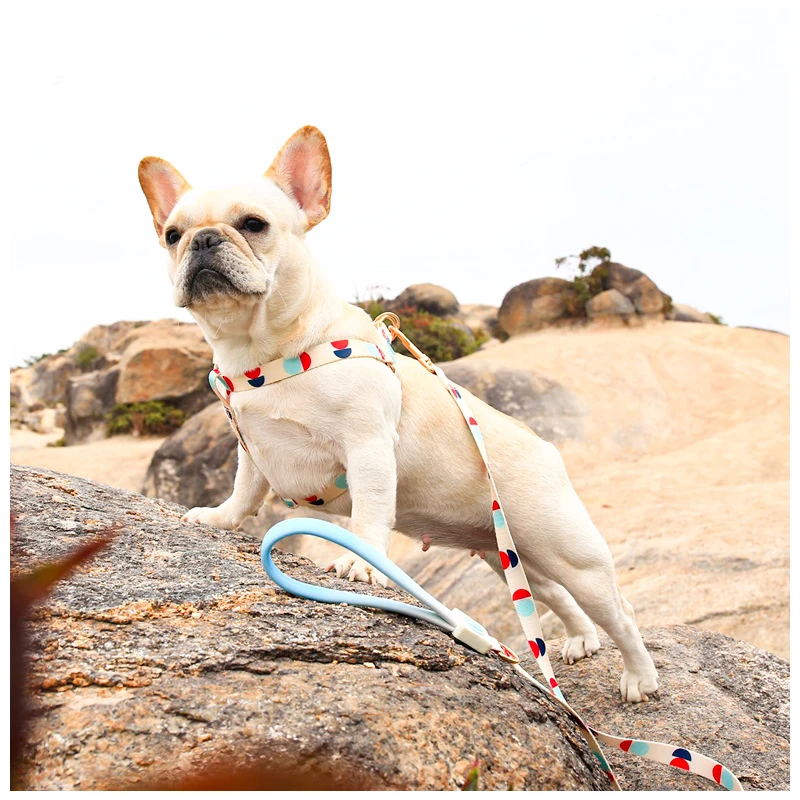 Pets Shop French Bulldog Accessories Choker Neck Semicircle Pattern Collars Leashes Dogs Belt Strap Breast-band Small Harness