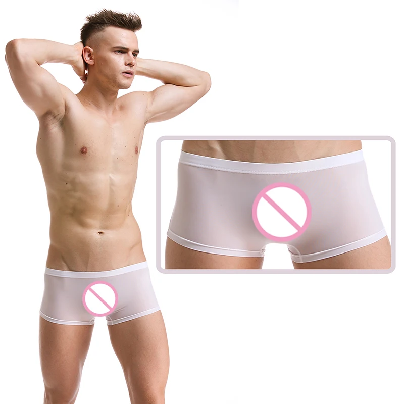 Ropa interior Sexy para hombre, bóxer de hielo de seda, calzoncillos transparentes superfinos de tiro bajo, suaves y transpirables, Cueca