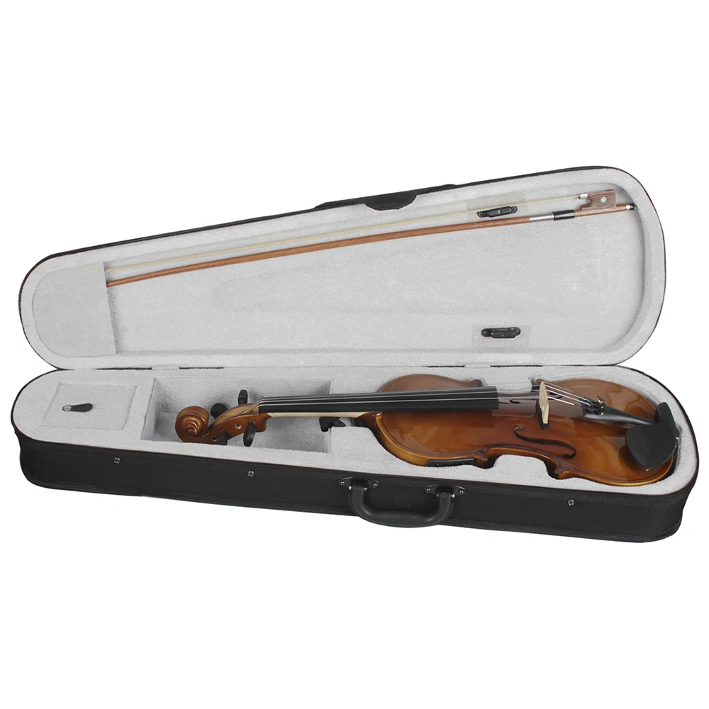 4/4 Electric Acoustic Violin Professional String Instrument Solid Wood EQ Fiddle With Case Bow Musical Instrument Accessories