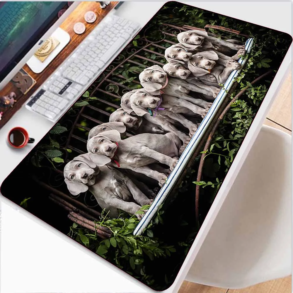 

Large Mousepad XXL Animal Cute Dog Laptop Office Non-slip Mat MousePad Desk Mat Kawaii Mouse Pad Gaming Accessories Gaming Desk