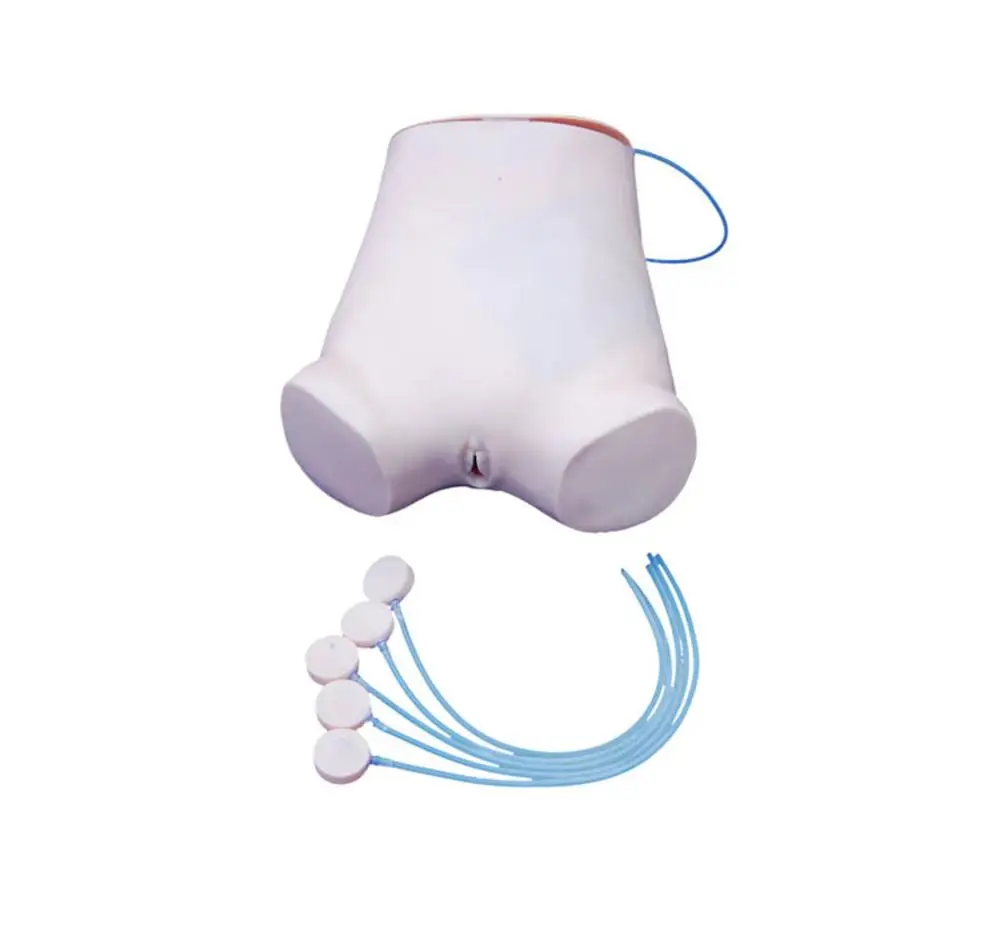 

Abdominal Puncture Medical education manikin Training simulation Nursing skills