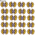 PE6308CT
