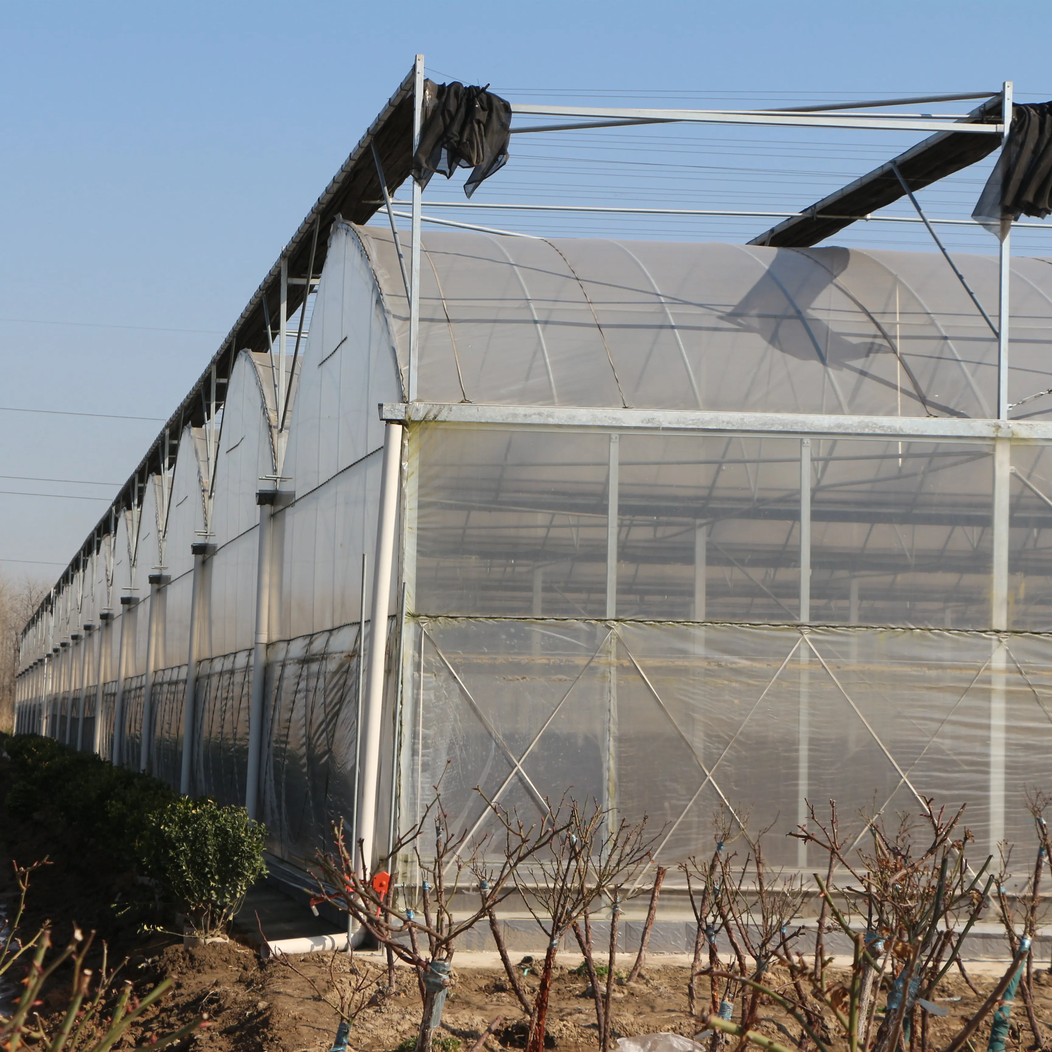 8m*40m Multi-span Plastic Film Greenhouse