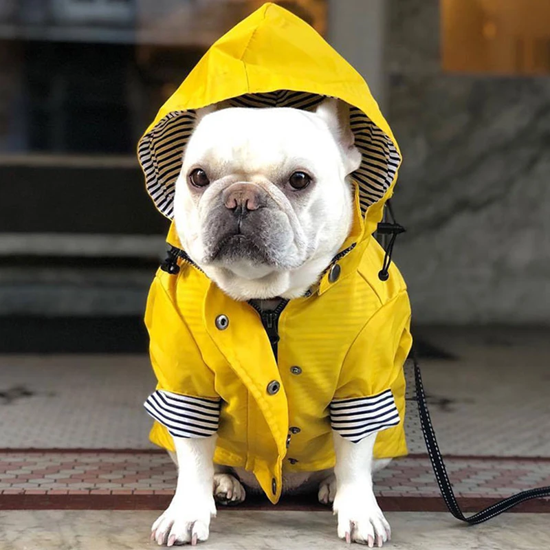 

French Bulldog Raincoat Pet Dog Waterproof Coat Schnauzer Welsh Corgi Clothes Shiba Inu Samoyed Pug Dog Clothing Jacket Outfit