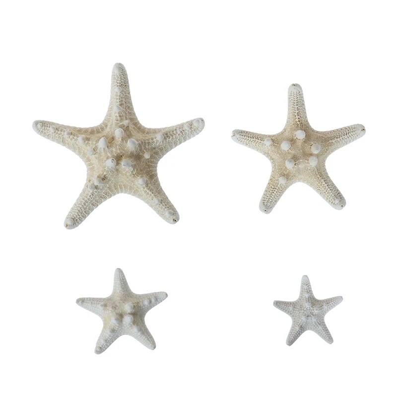 1Pc White Starfish Crafts Decoration Finger Starfish DIY Wedding Decoration Shell Sea Fish Party Beige Starfish Crafts