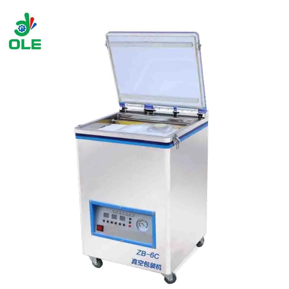 Home Usage Fish Vacuum Packaging Machine Meat Vacuum Packing Machine