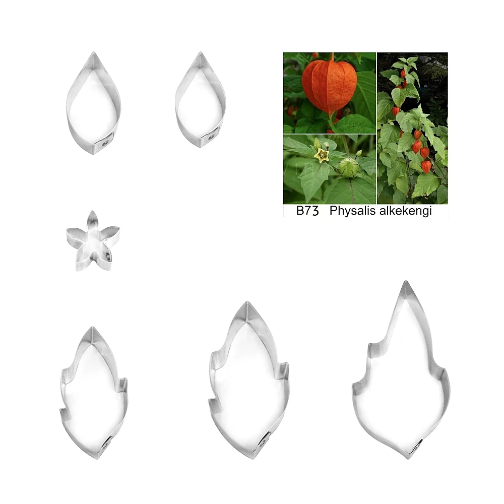 Physalis alkekengi fondant sugar flower cutters baking cake decorations Polymer Clay Cold Porcelain gumpaste tools