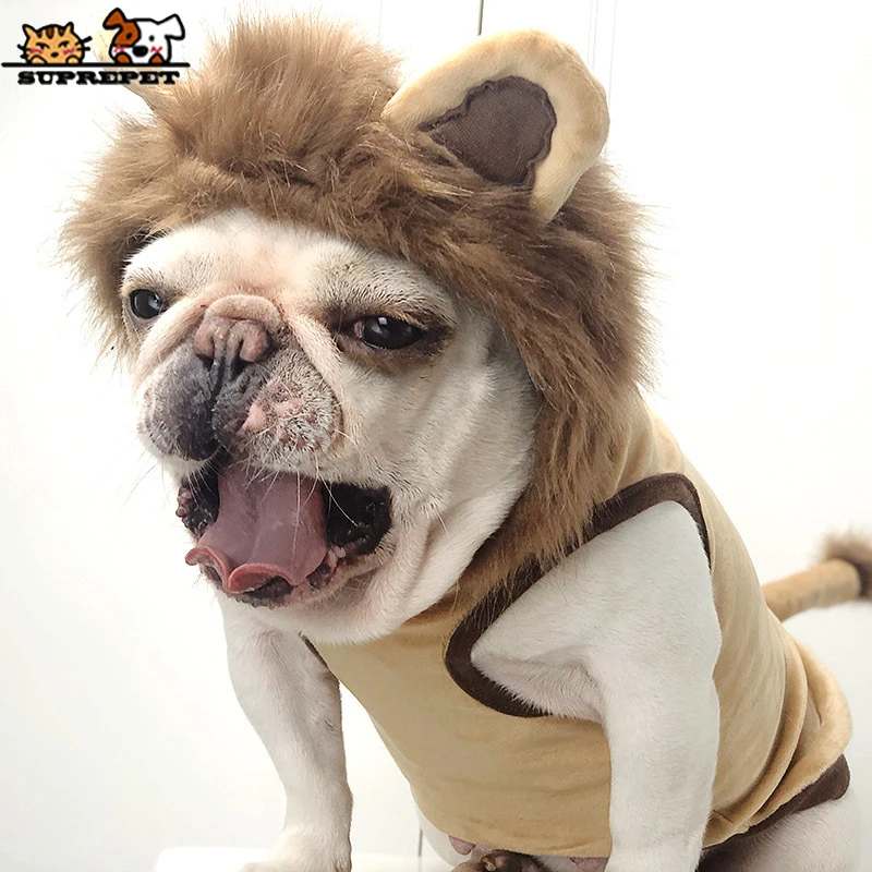 Imagem -02 - Preupet Bonito Cão de Estimação Roupas para Bulldog Francês Cosplay Leão Cão Gato Traje Moda Cachorro Roupas Cão dos Desenhos Animados Cão Pug