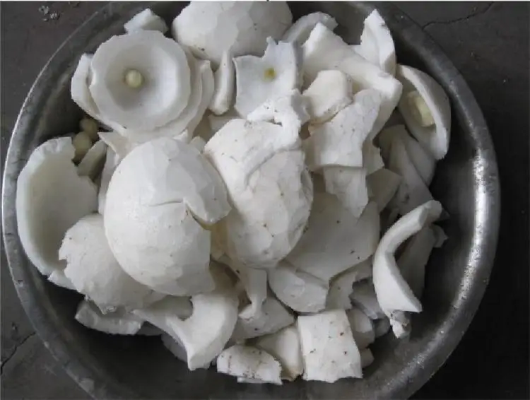 Industrial Coconut Shredder Grater Machine 2000-3000kg/h Coconut Meat Grinder Machine