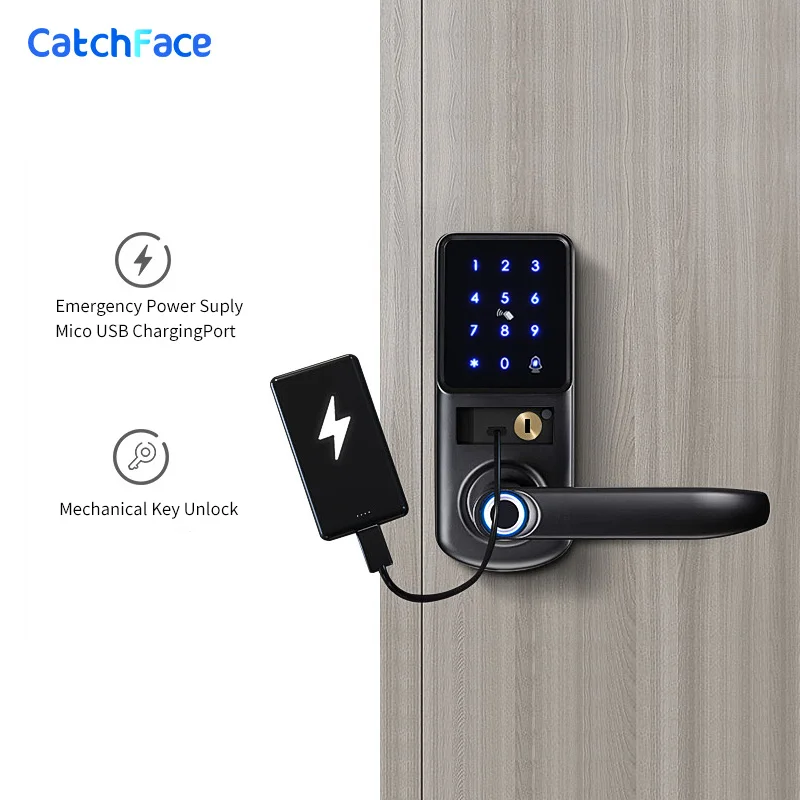 Fingerprint Electronic Door Lock with WiFi TUYA App Digital Safe Keypad Remote Unlock For Home And Hotel Security Smart Lock