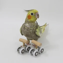 Small Parrots Roller Skates Adjustable Pet Birds Playground Toys for Small Bird Budgerigar Cockatiel Education Play Gym Activity