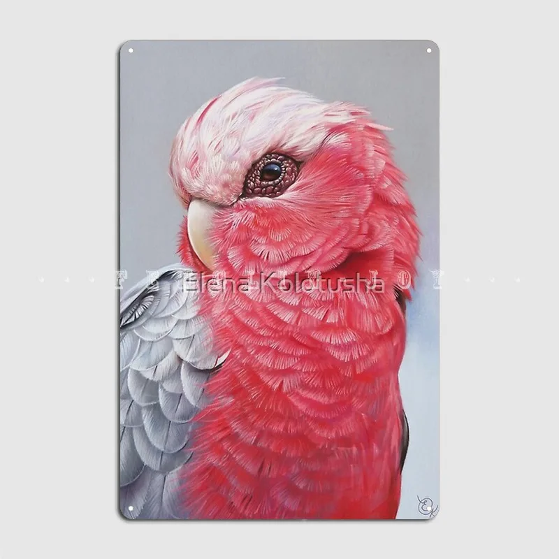 

Galah Poster Metal Plaque Wall Mural Kitchen Funny Mural Painting Tin Sign Poster