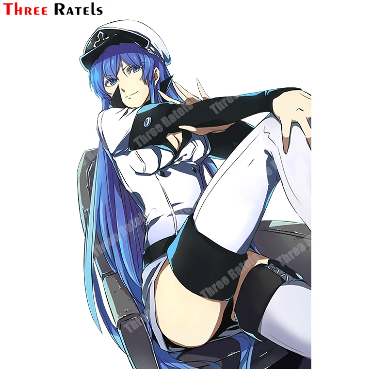 Autocollant Jdm B81 en vinyle, autocollant de voiture, trois Ratels, Esdeath Of Akame Ga Kill