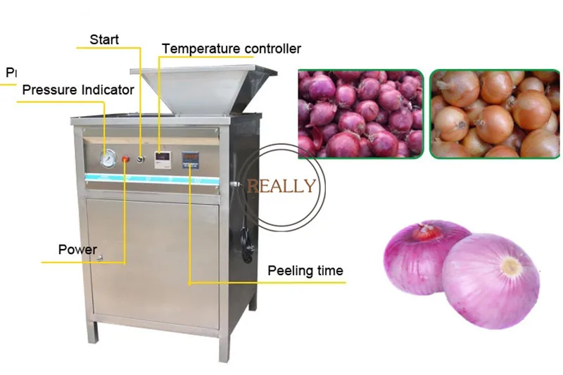 Capacity 300kg/h Industrial Electric Automatic Onion Skin Peeler Onion Peeling Machine