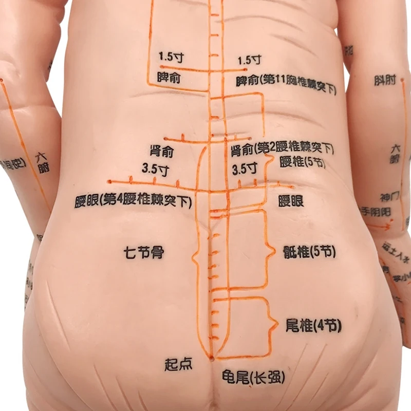 52cm Infant mannequin child doll mannequin infant acupuncture Chinese medicine model acupoint pediatric massage simulation model