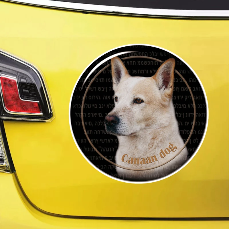 

S61987# Canaan Dog Self-adhesive Decal Car Sticker Waterproof Auto Decors on Bumper Rear Window Laptop Choose Size