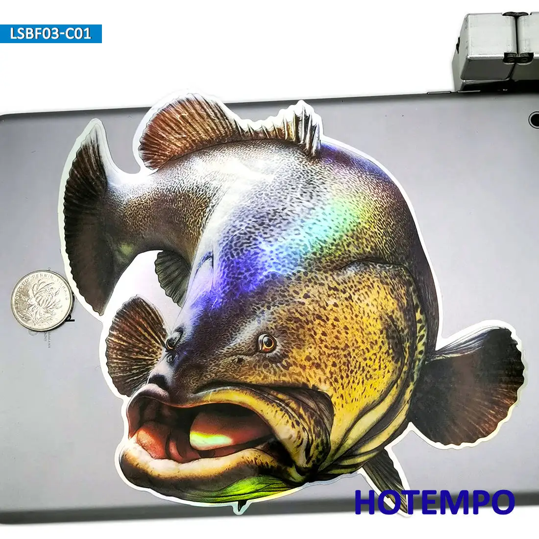 20cm Laser Flash Brown Grouper Bass Big Sea Fish Waterproof Sticker for Fisherman Fishing Boats Suitcase Motorcycle Car Stickers