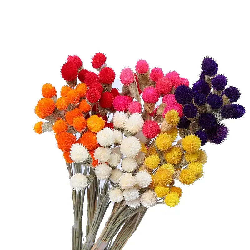 Dried Globe Amaranth Flower with Wheat Straw Bouquet for Home Decor Party DIY Arrangement Dry Floral Xmas Table Vase Party Decor