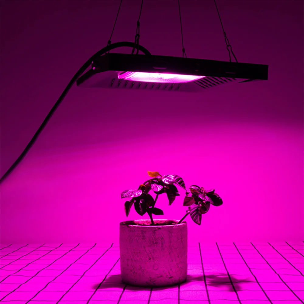 LED Grow Light Waterproof IP67 50W 100W 200W 300W COB Full Spectrum Growth Flood Light for Plant Indoor Hydroponic Greenhouse